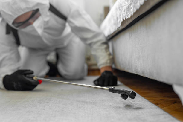 Professional Bed Bug Control technician working in Greenfield, TN